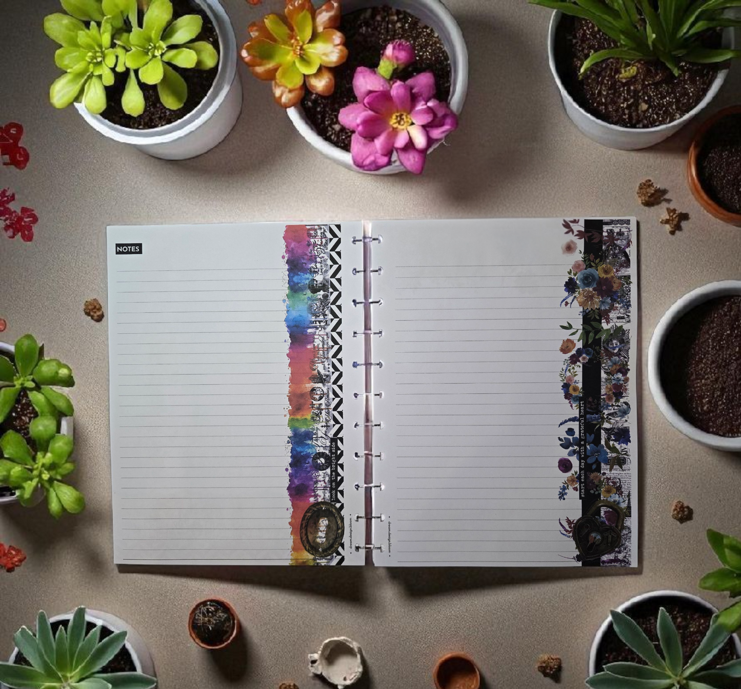 2026 Discbound Weekly Dated Extension Inserts by dream.design.bloom in Celestial Blooms palette, joyful rainbow boutique colour collection showing monthly Notes and Blank pages together