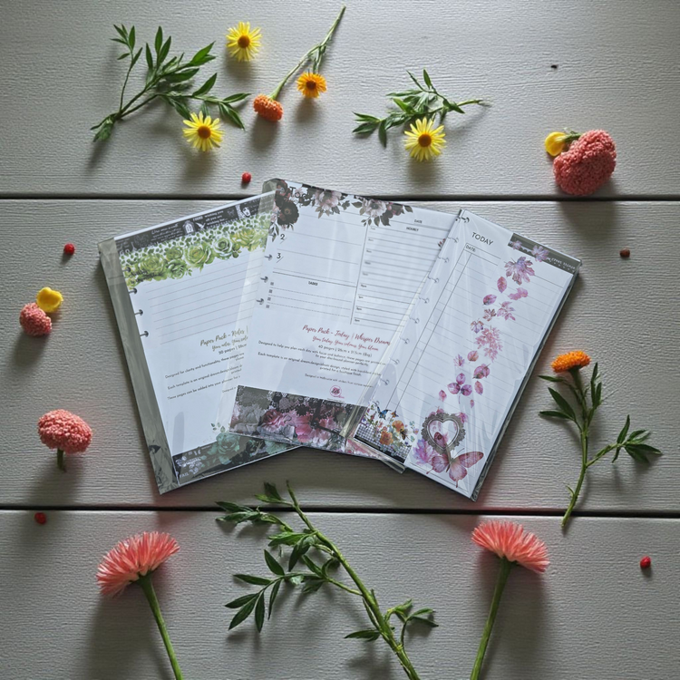 collection of dream.design.bloom discbound planner inserts including Notes, Today, and Foldout Today designs, boutique-styled and printed on premium paper for flexible daily planning