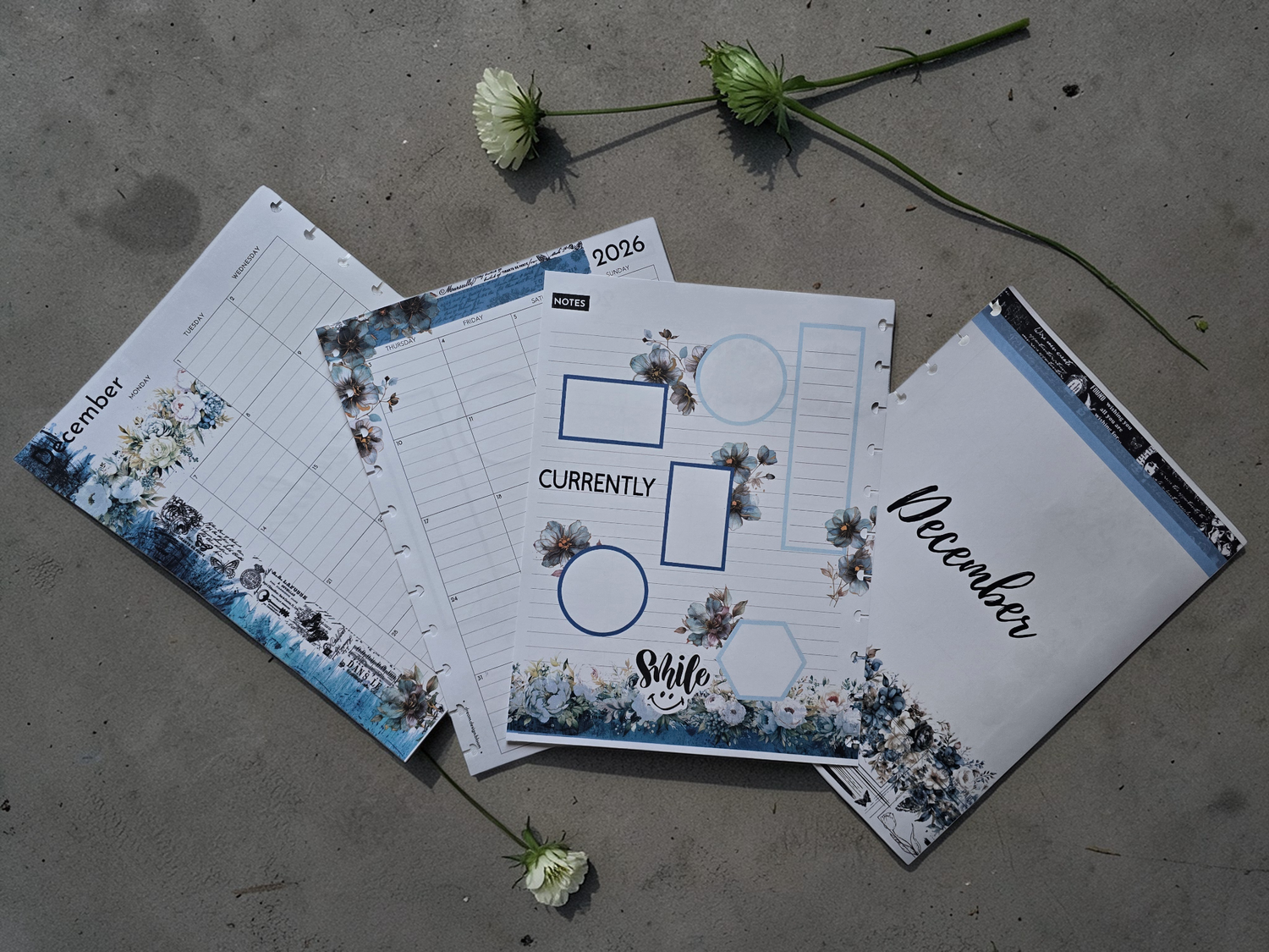 collection of dream.design.bloom discbound extension inserts including 2026 weekly dated layouts and memory keeping pages designed for flexible planning and creative reflection