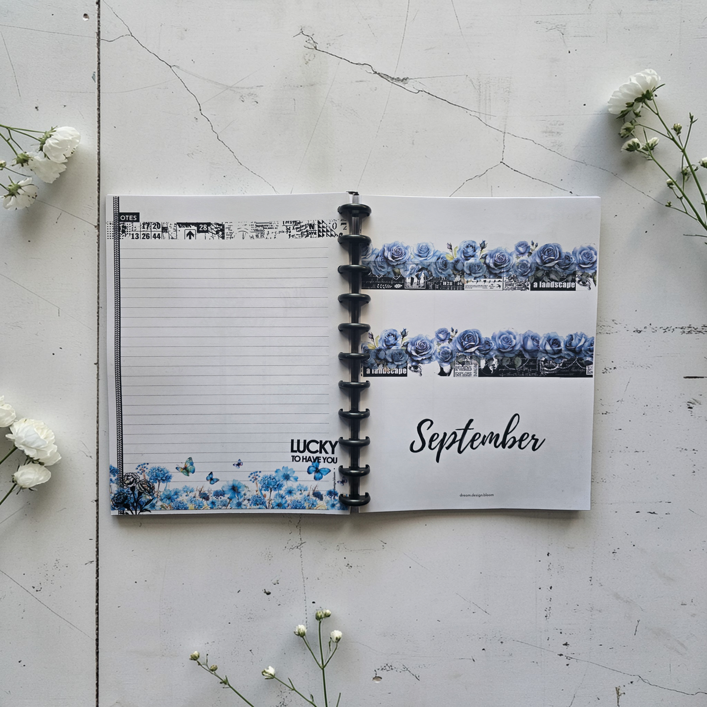 Dated Discbound Monthly Planner