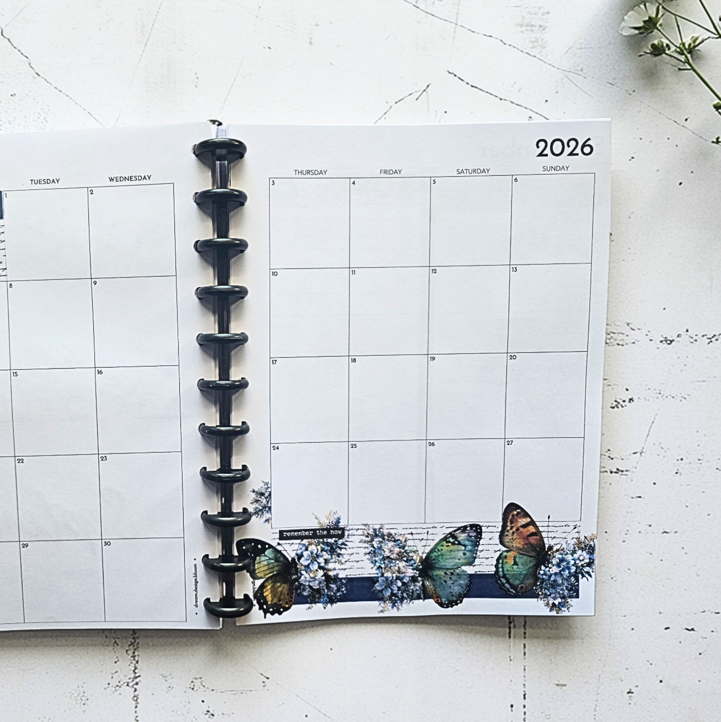 Dated Discbound Monthly Planner