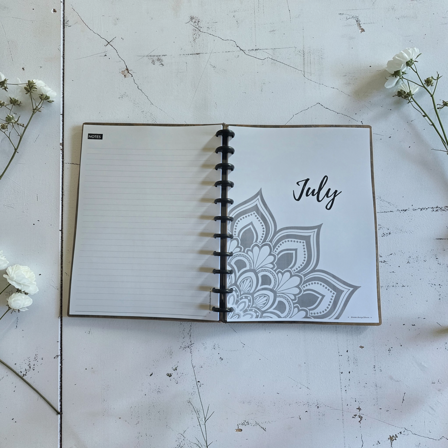 Weekly Discbound Planner | Signature Designs