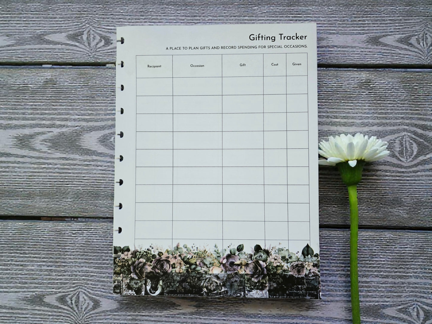 Financial Clarity Expansion Inserts | Arbor Designs