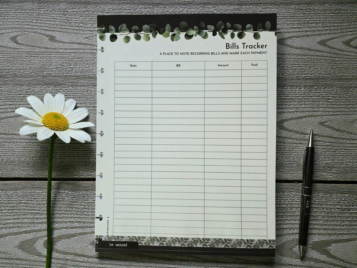 Financial Clarity Expansion Inserts | Arbor Designs