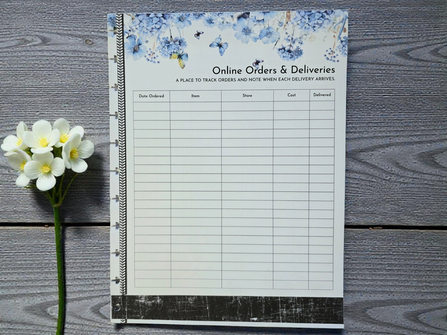 Financial Clarity Expansion Inserts | Azure Blooms