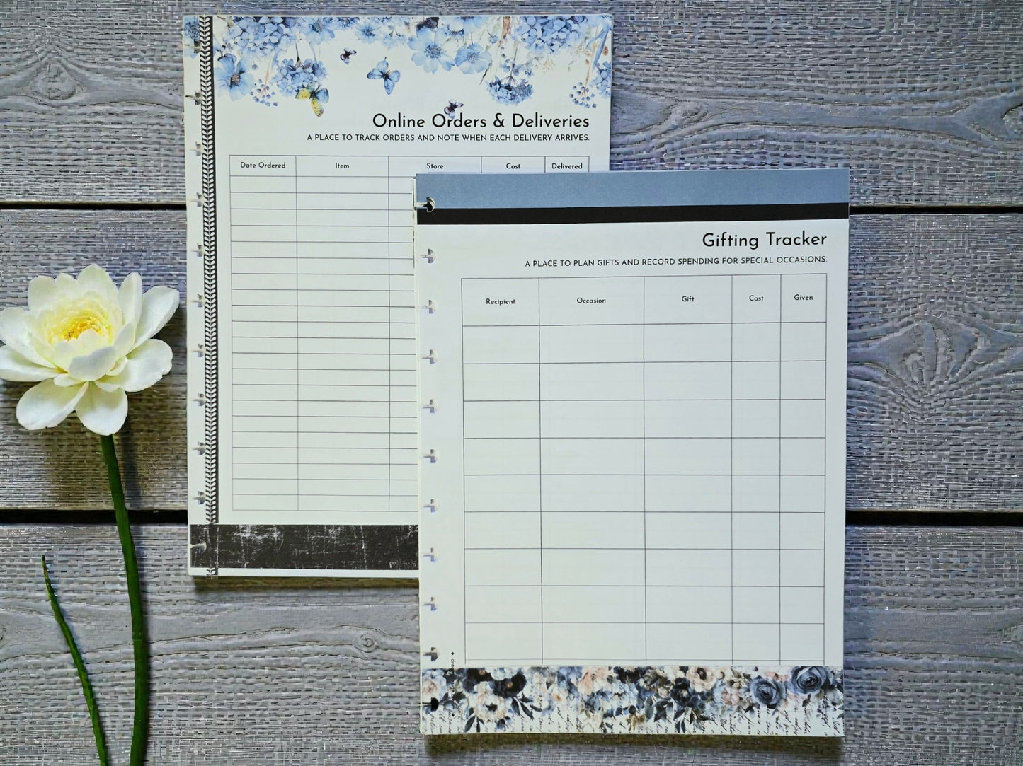 Financial Clarity Expansion Inserts | Azure Blooms