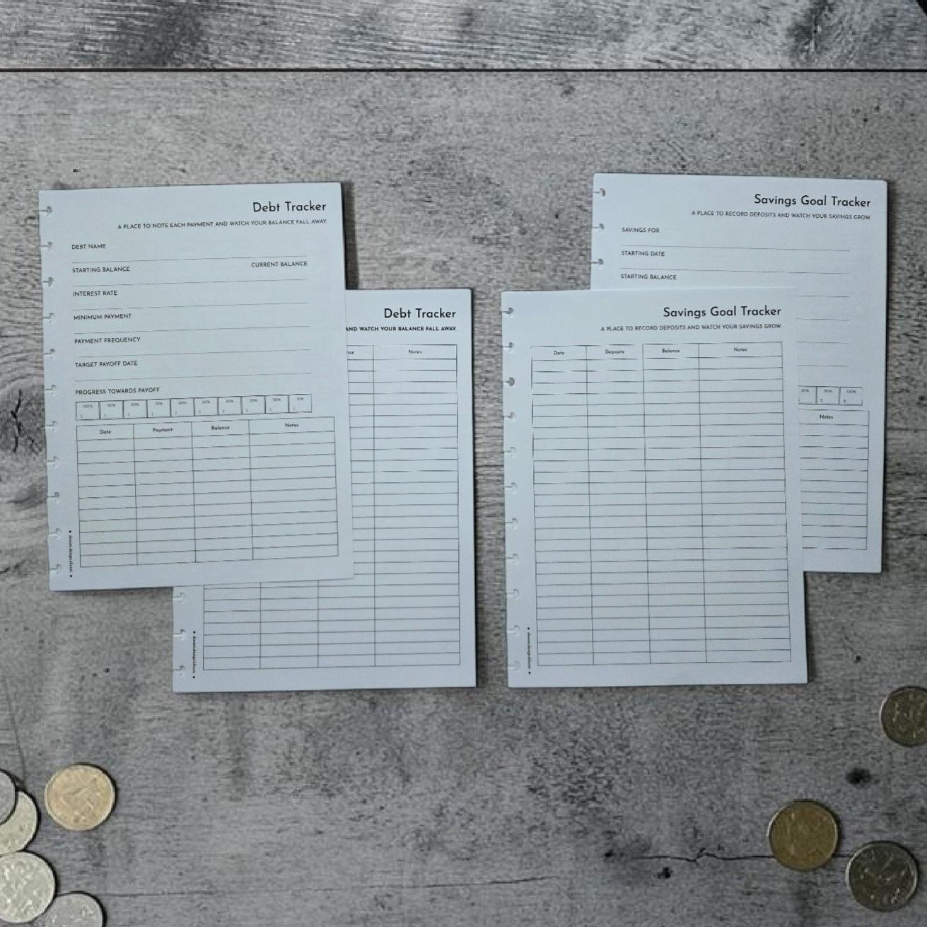 Financial Clarity Expansion Inserts | Arbor Designs