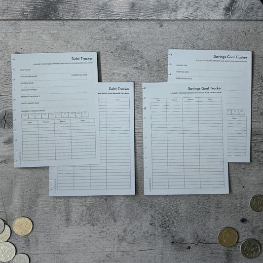 Financial Clarity Expansion Inserts | Arbor Designs