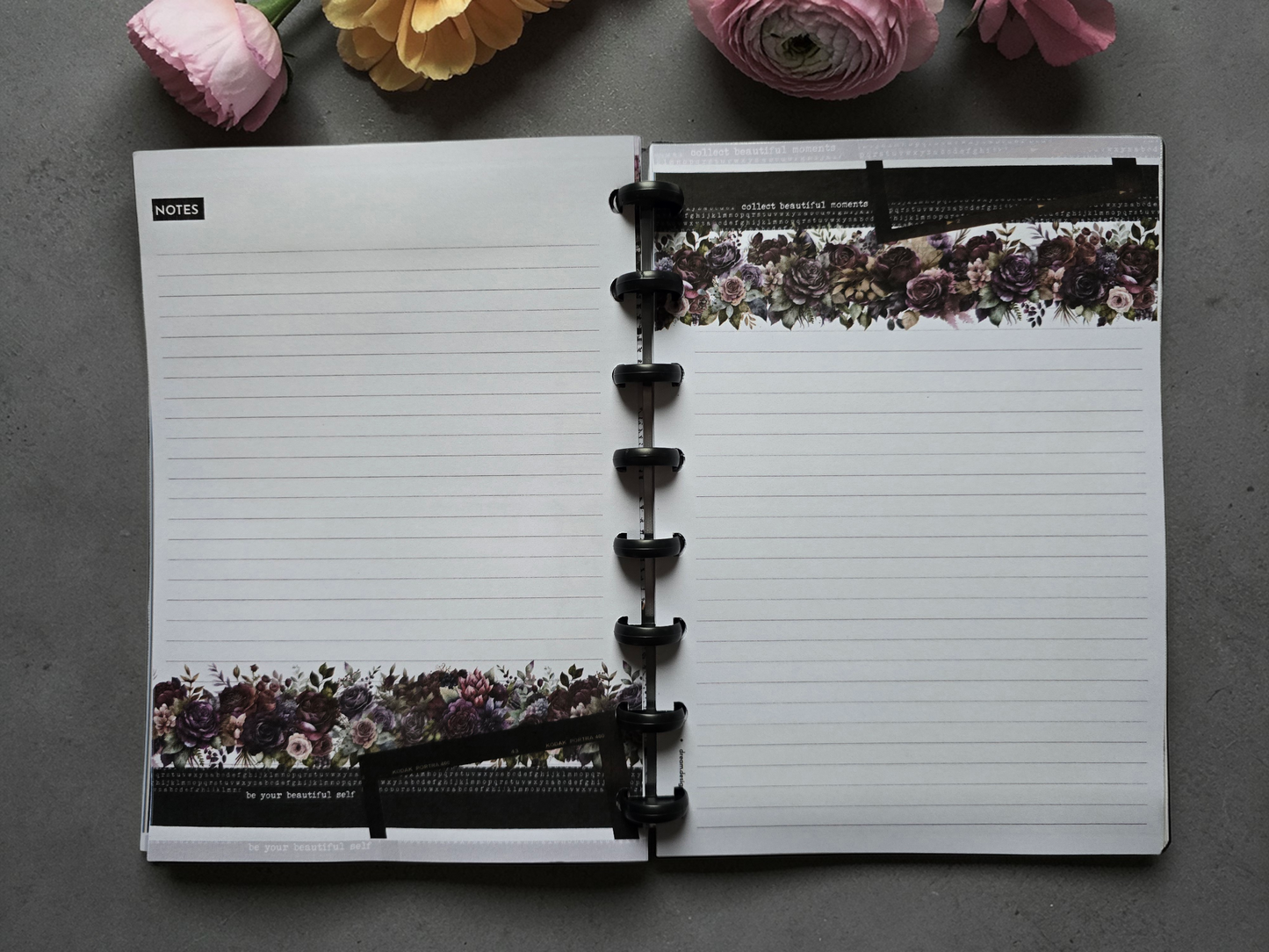 A5 Discbound Notes Book | Whisper Dreams