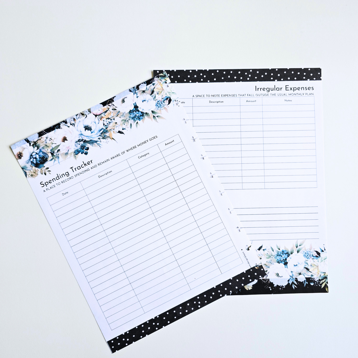 Financial Clarity Expansion Inserts | Azure Blooms