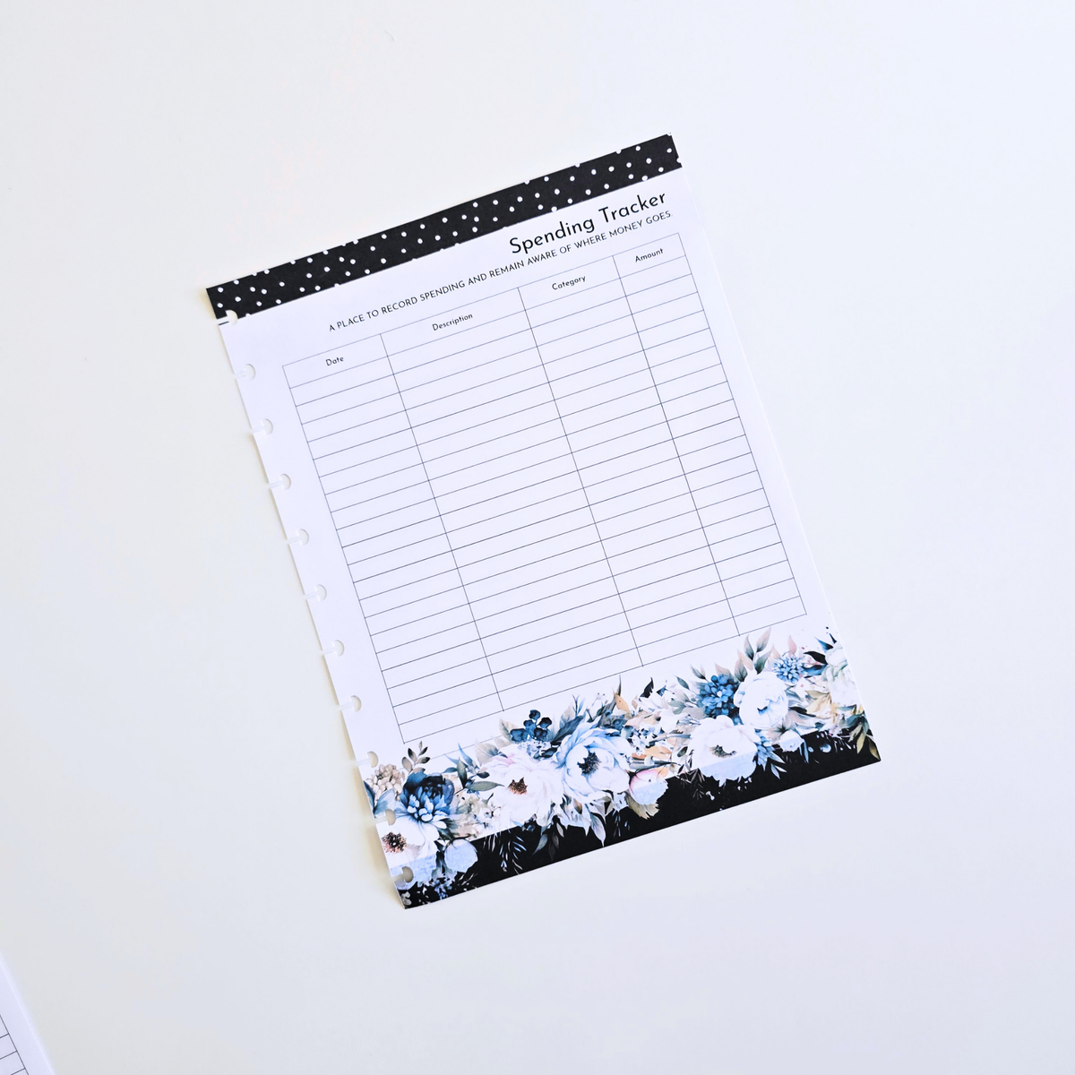 Financial Clarity Expansion Inserts | Azure Blooms