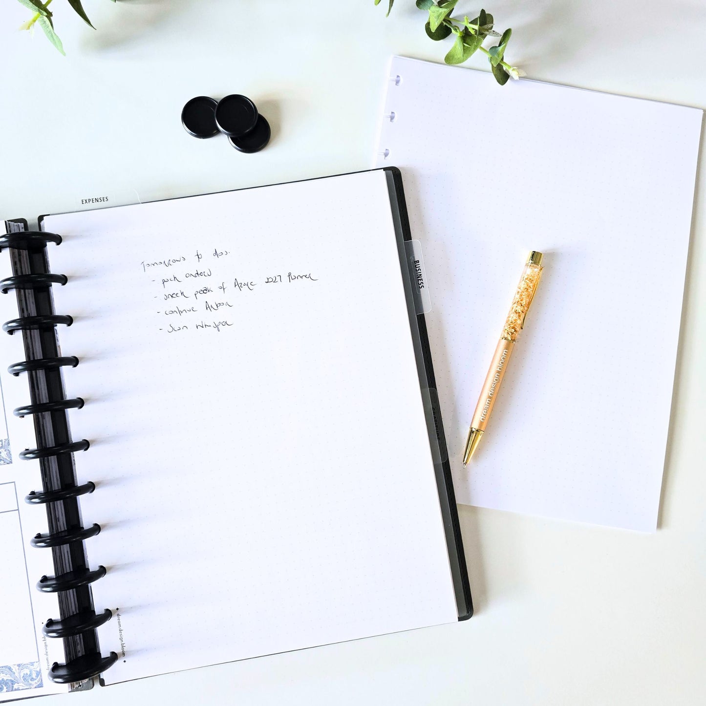 Blank, Grid & Dot Grid Discbound Inserts