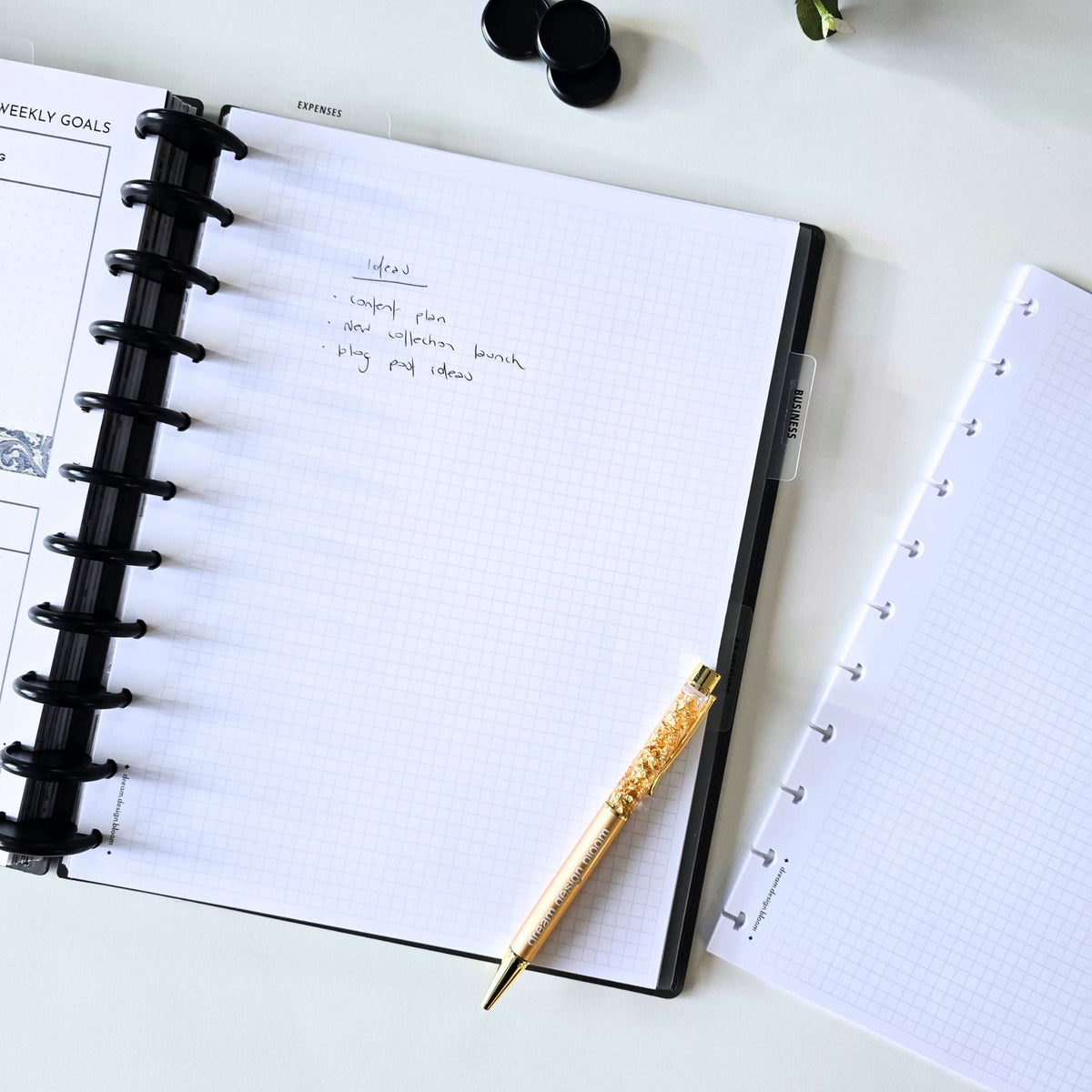 Blank, Grid & Dot Grid Discbound Inserts