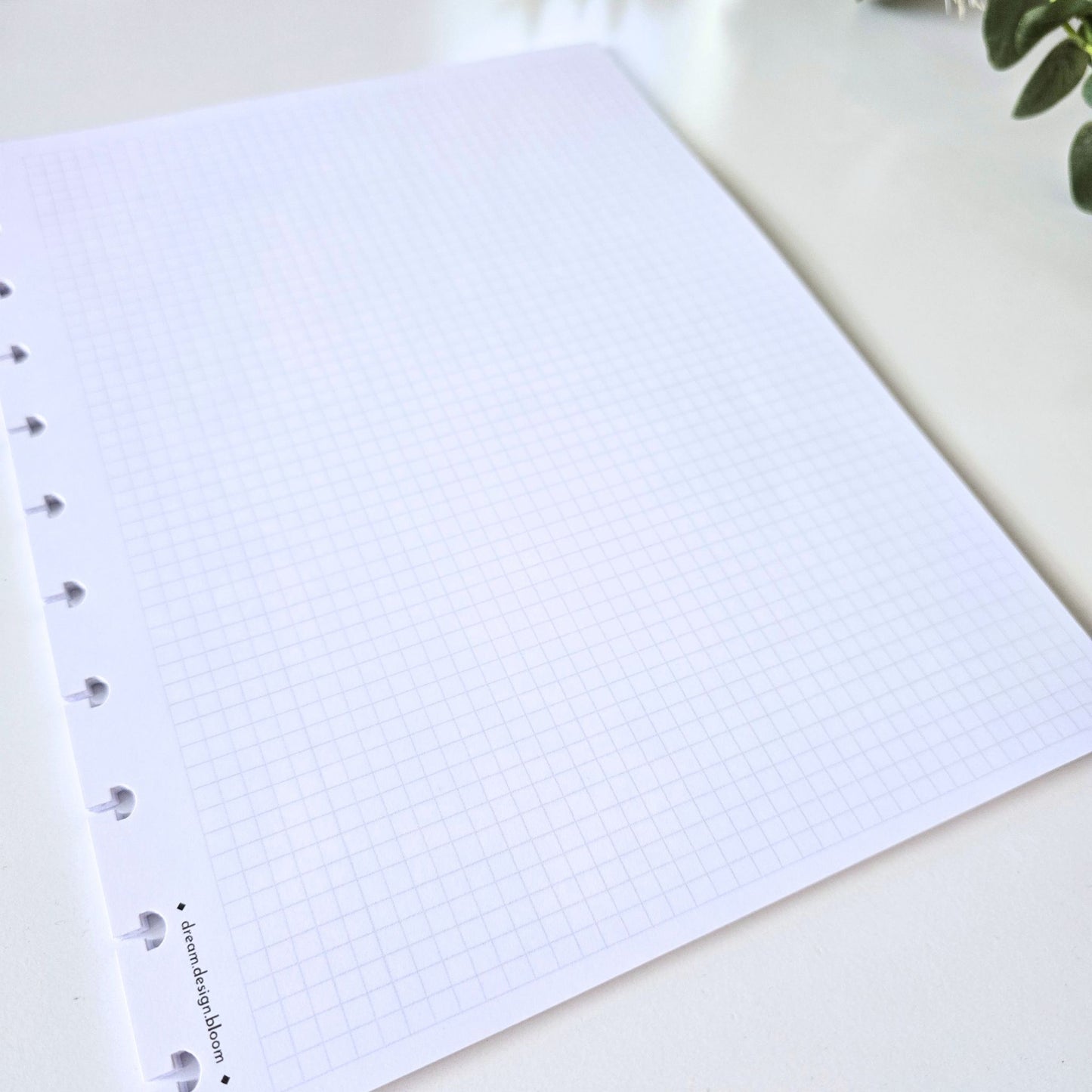 Blank, Grid & Dot Grid Discbound Inserts