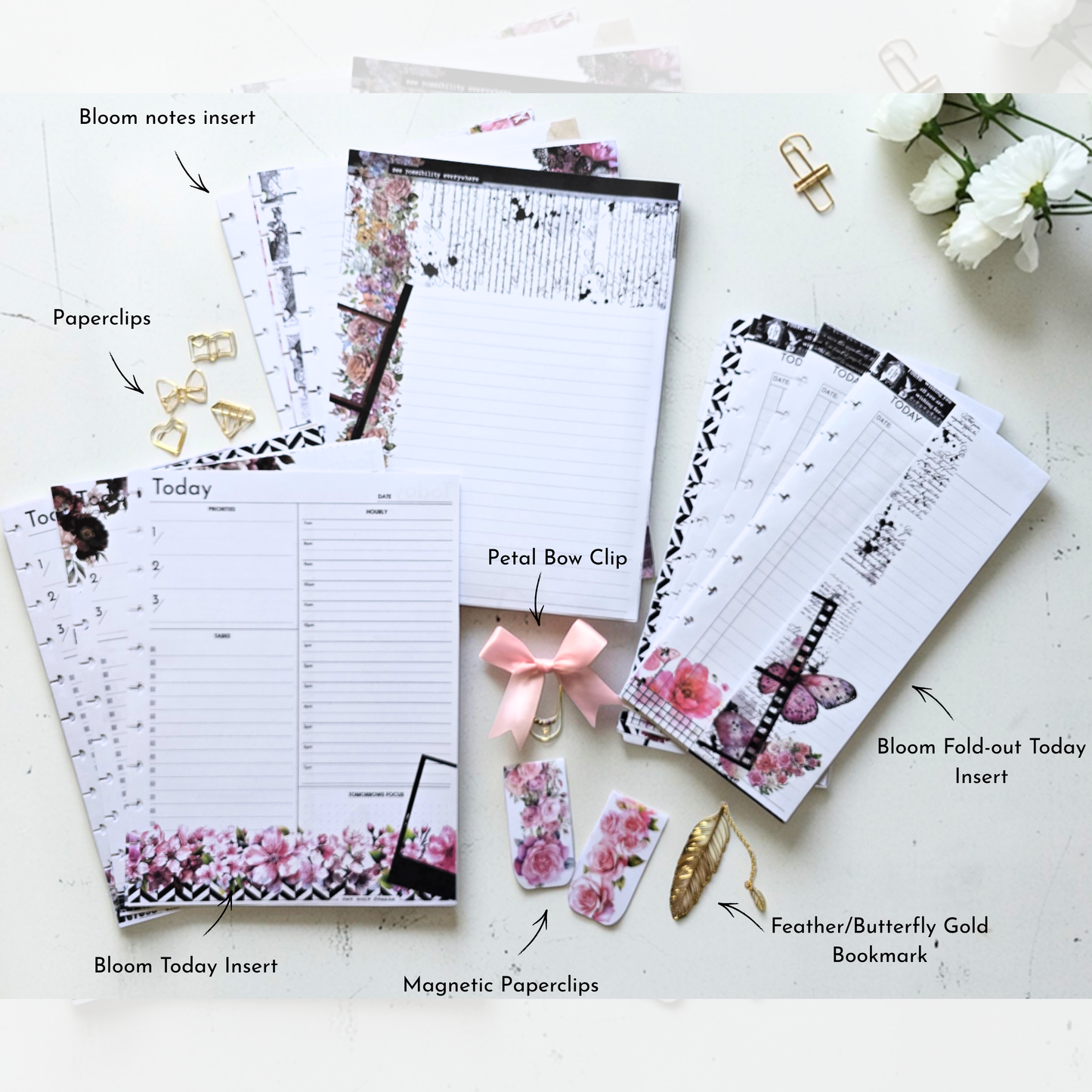 Daily Discbound Essential Bundle
