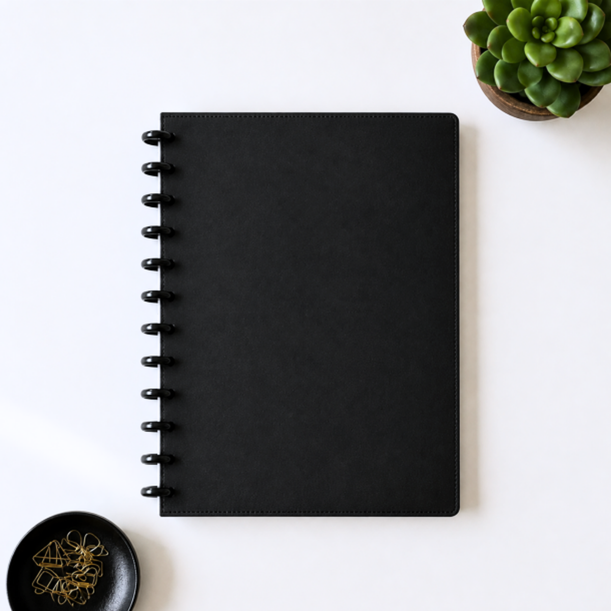 A black disc bound notebook or planner lies flat on a light beige surface, styled with a small green succulent in the top-right corner and a black dish with gold paper clips in the bottom-left corner.