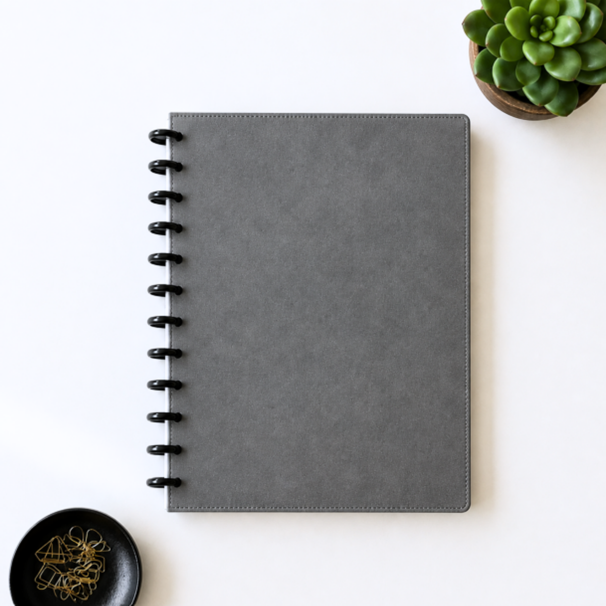 A black disc bound leather cover planner or notebook lies flat on a light beige surface, styled with a small green succulent in the top-right corner and a black dish with gold paper clips in the bottom-left corner.