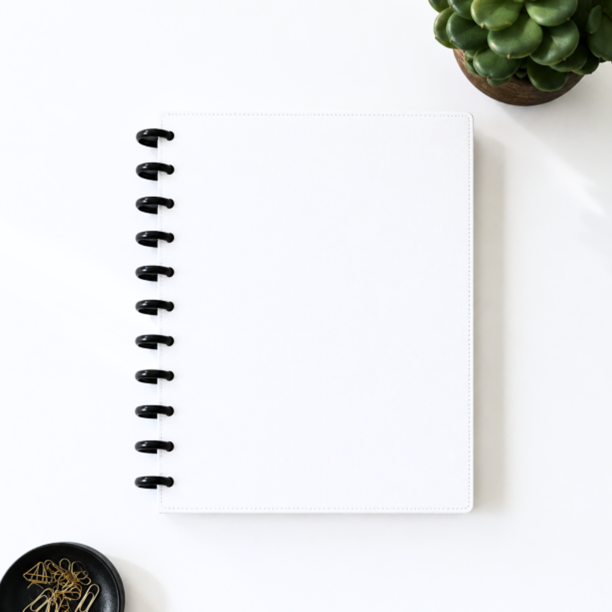 A white disc bound planner or notebook with black rings, photographed from above on a light neutral surface with a small potted succulent and paper clips nearby.