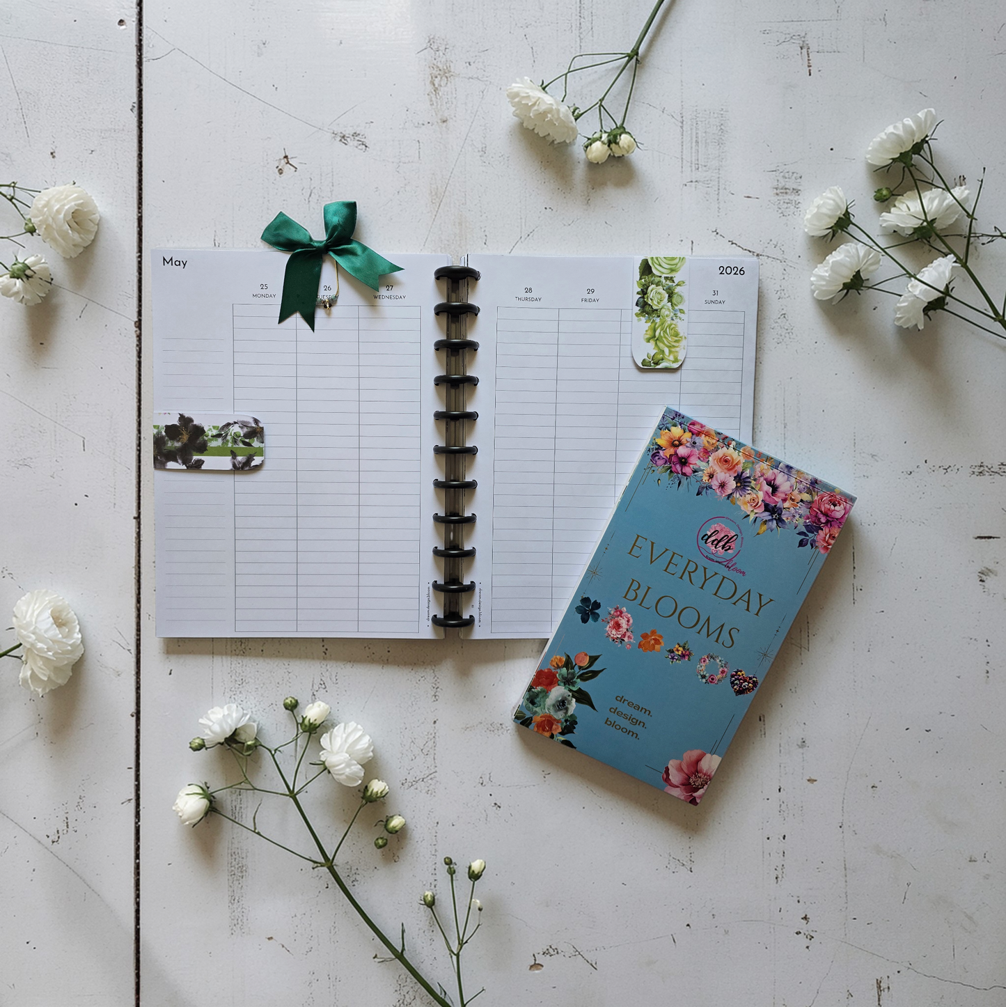 Bloom Discbound  Starter Kit