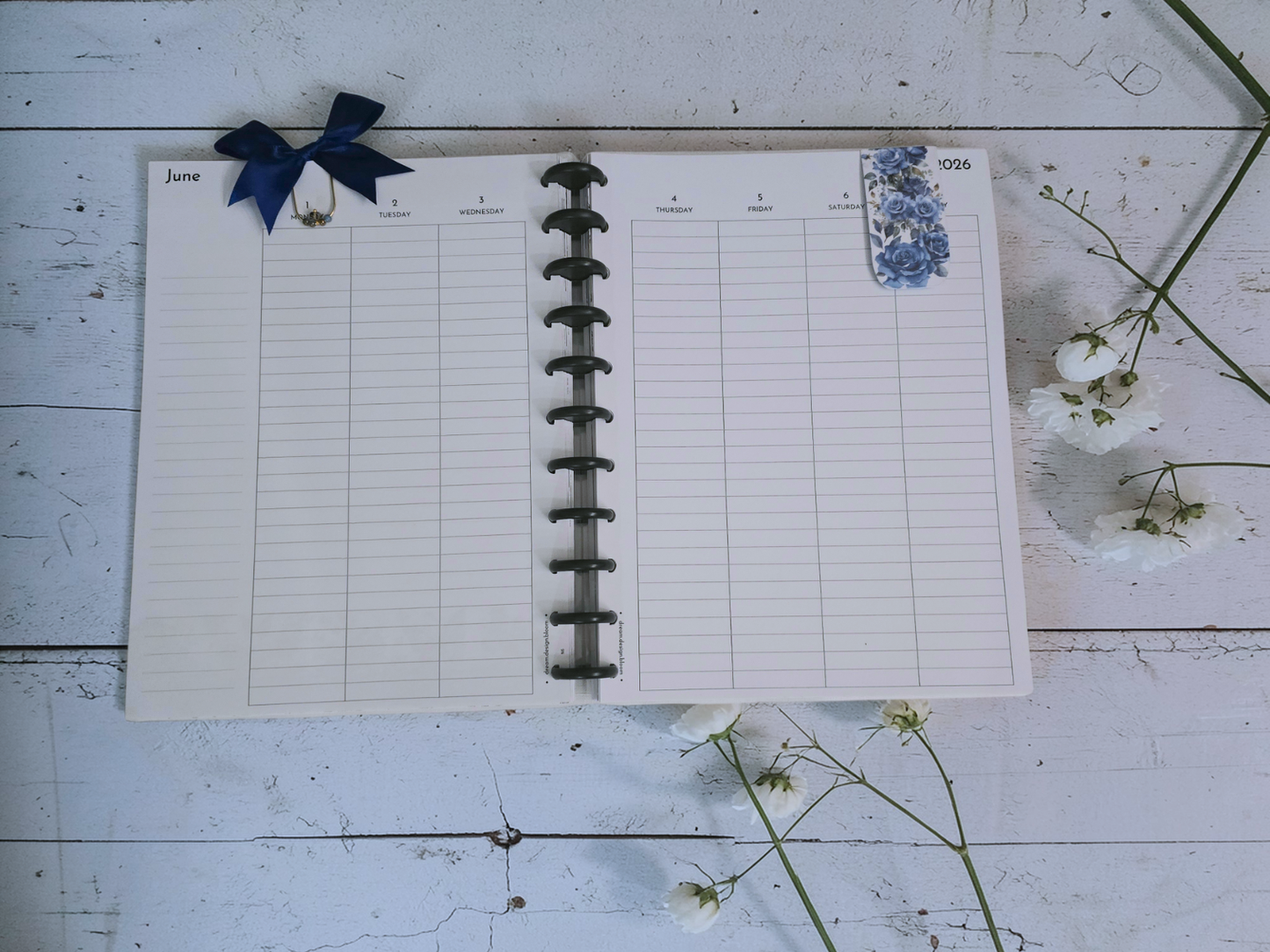 Bloom Discbound  Starter Kit