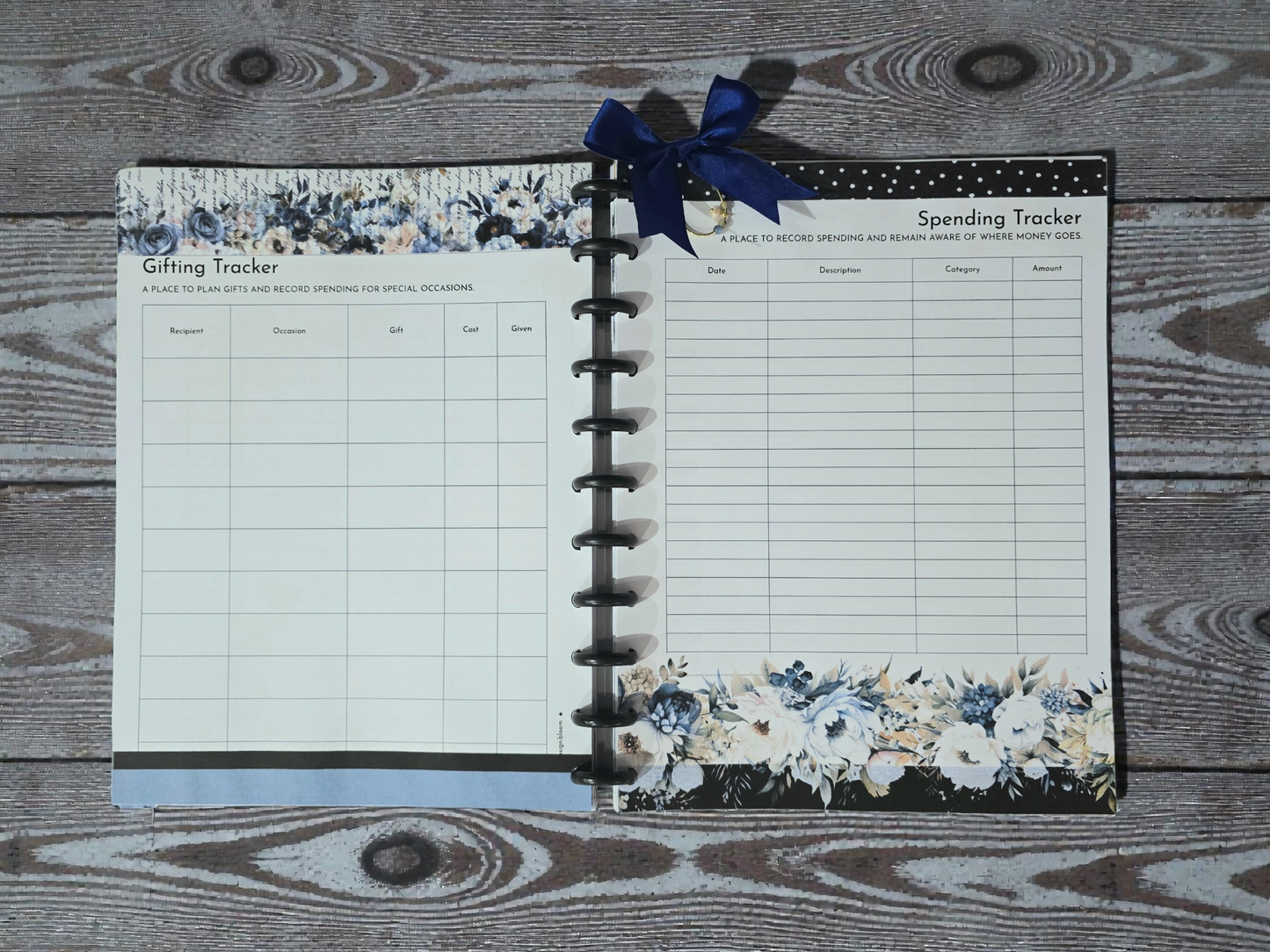 Financial Clarity Inserts | Azure Blooms