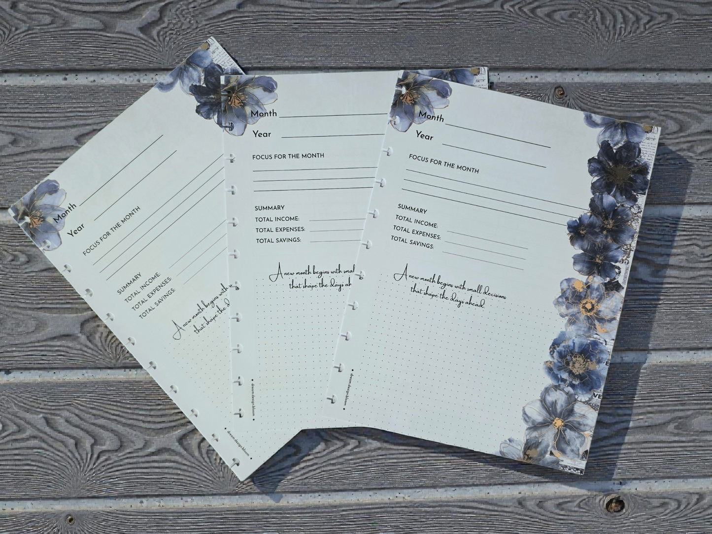 Financial Clarity Inserts | Azure Blooms