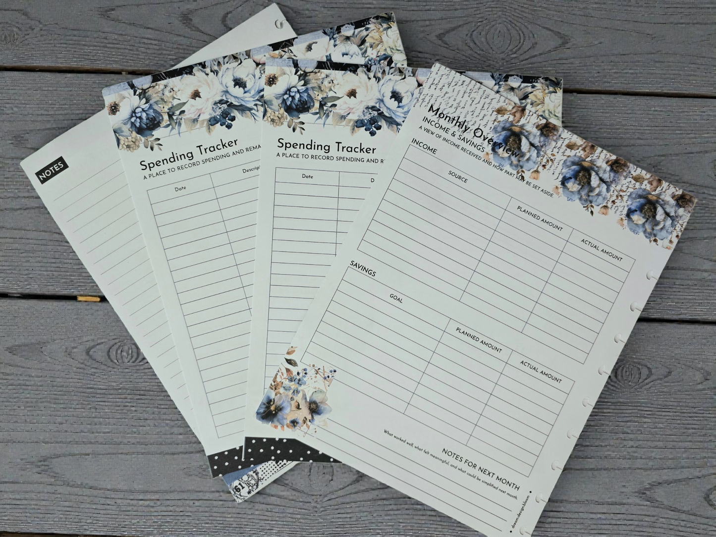 Financial Clarity Inserts | Azure Blooms