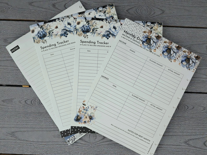 Financial Clarity Inserts | Azure Blooms