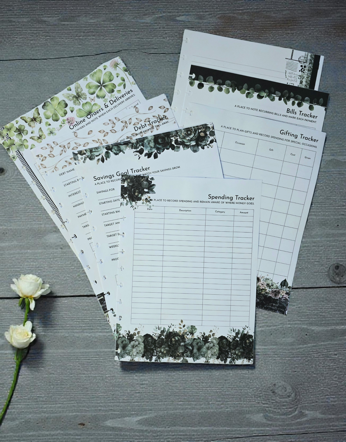Financial Clarity Inserts | Arbor Designs