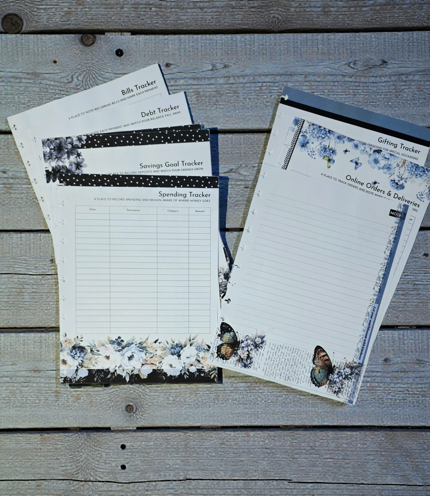 Financial Clarity Inserts | Azure Blooms