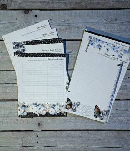 Financial Clarity Inserts | Azure Blooms