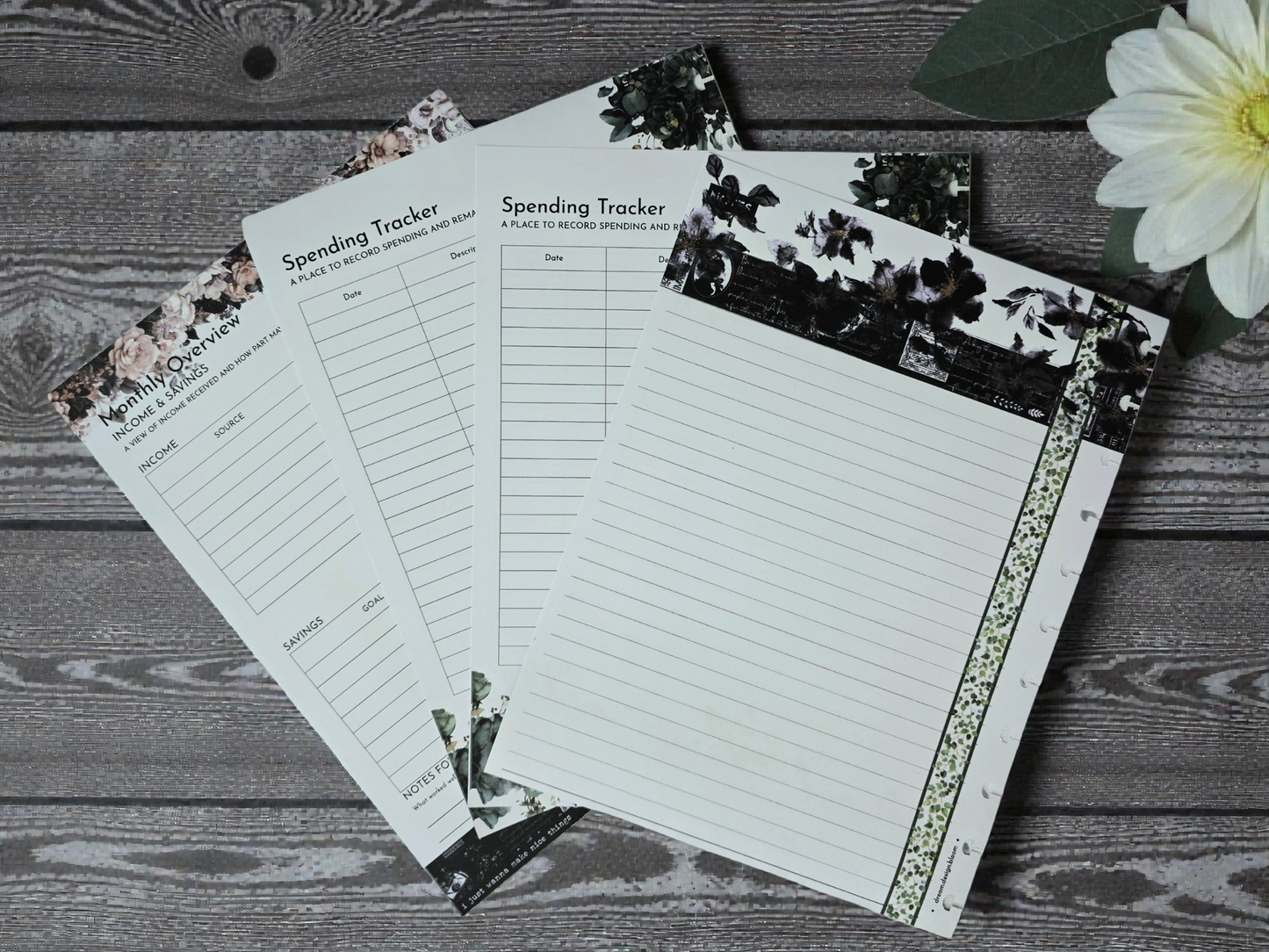 Financial Clarity Inserts | Arbor Designs