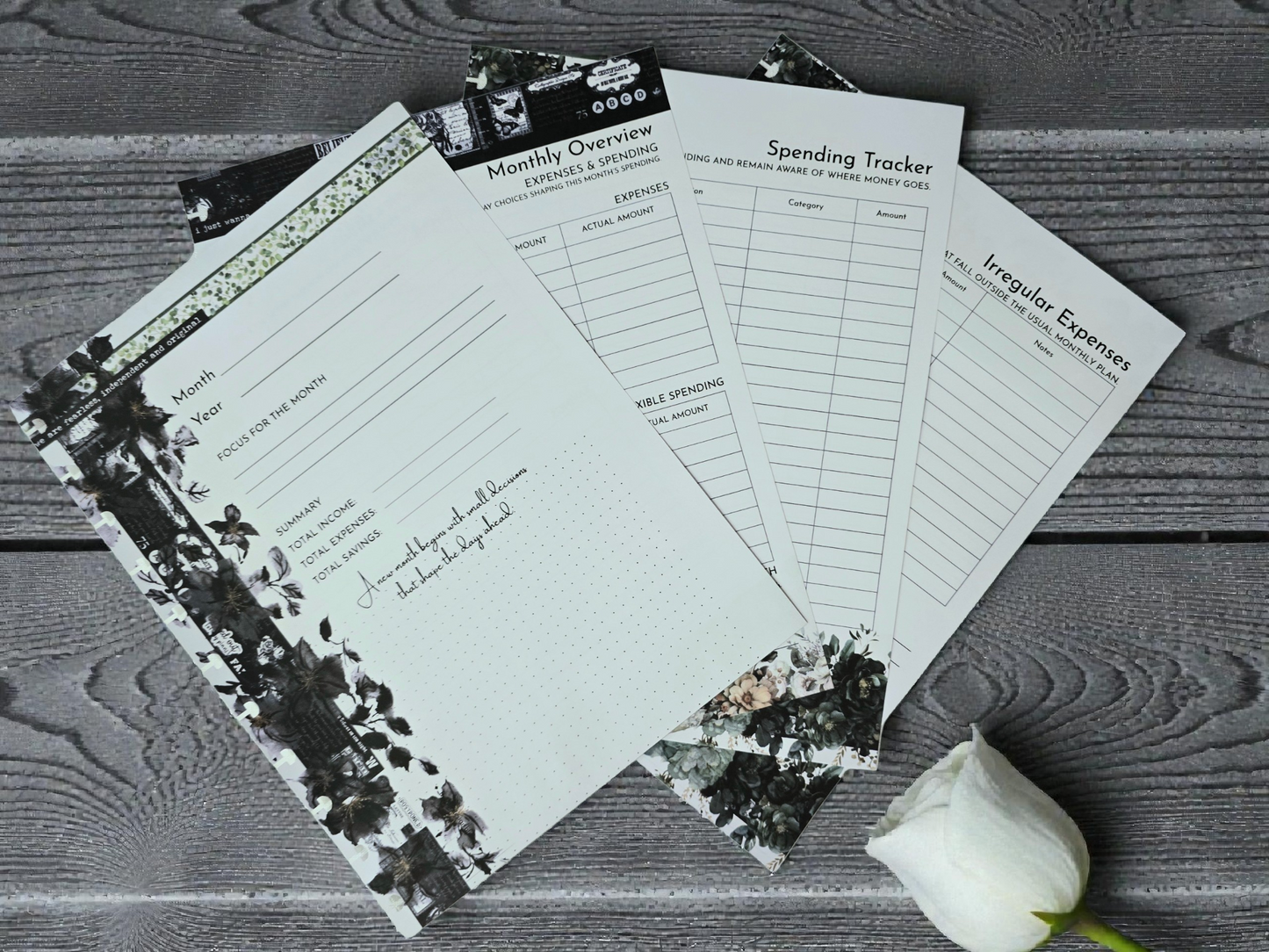 Financial Clarity Inserts | Arbor Designs