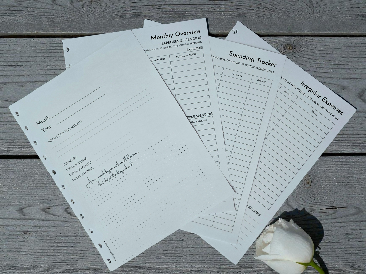 Financial Clarity Inserts | Signature Designs