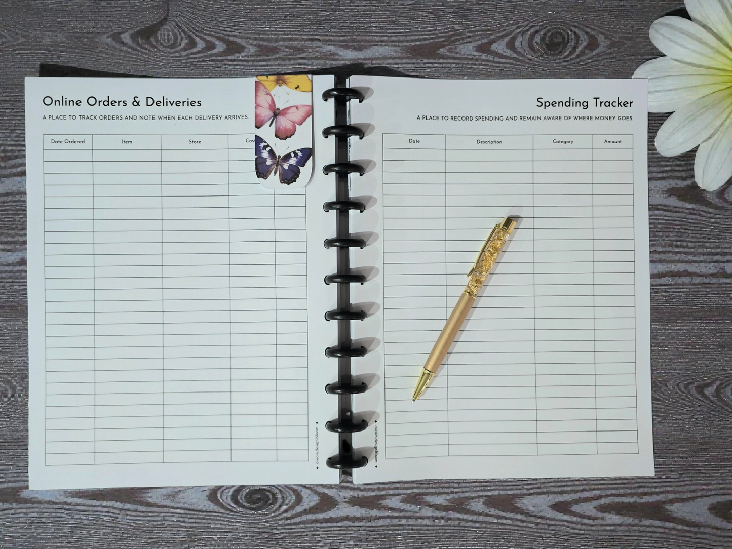 Financial Clarity Inserts | Signature Designs