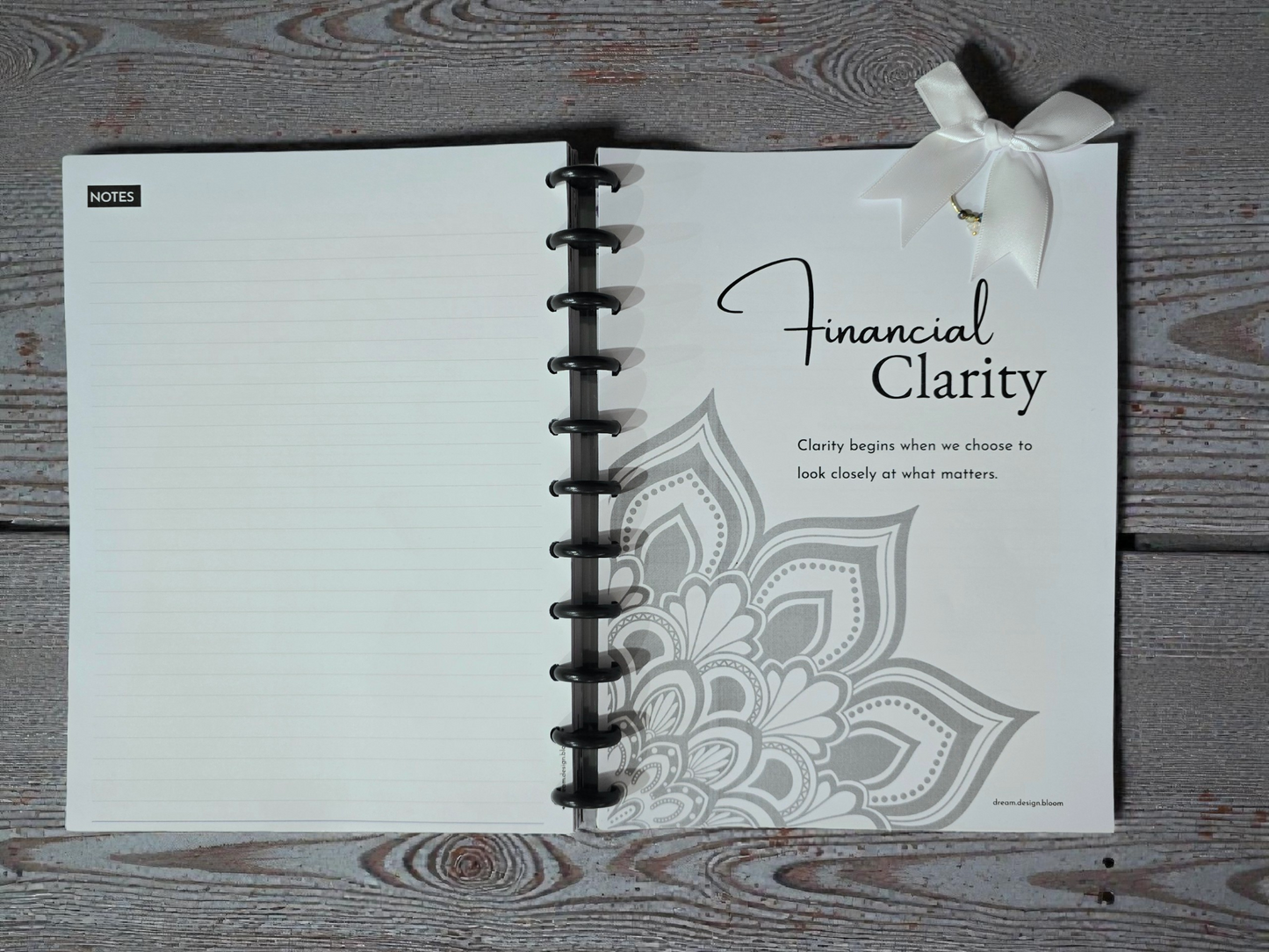 Financial Clarity Inserts | Signature Designs