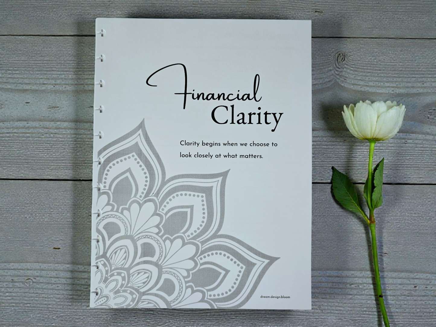 Financial Clarity Inserts | Signature Designs