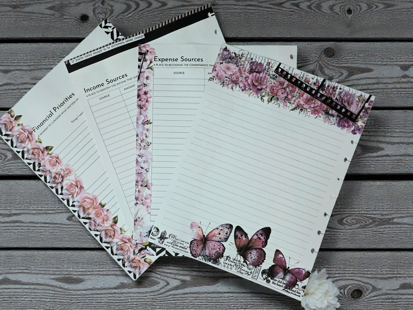 Financial Clarity Inserts | Whisper Dreams