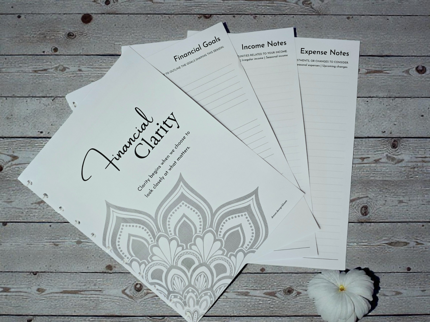 Financial Clarity Inserts | Signature Designs