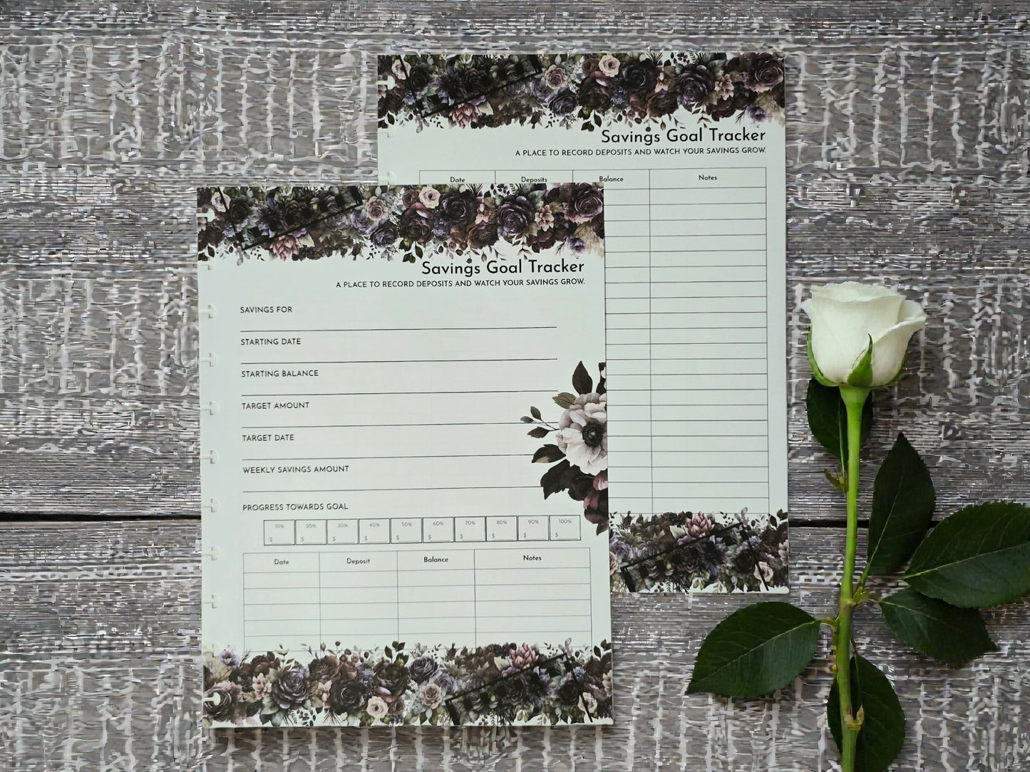 Financial Clarity Inserts | Whisper Dreams