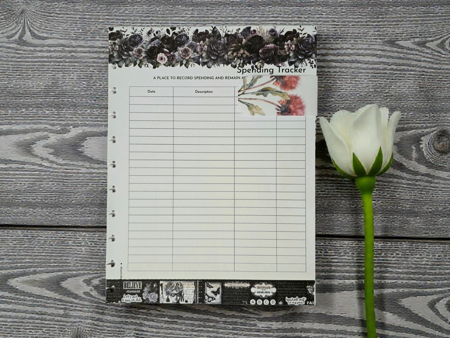 Financial Clarity Inserts | Whisper Dreams