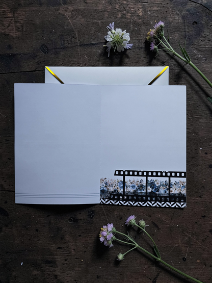 Notes Greeting Card Collection | Azure Blooms