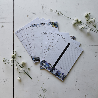 Today Notebook Bundle