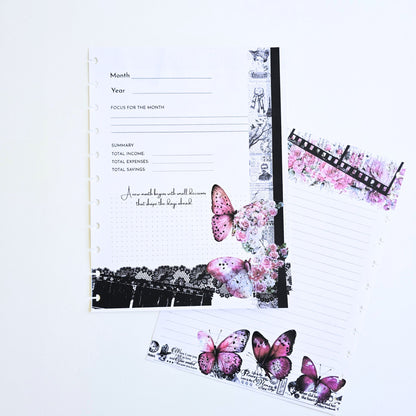Financial Clarity Core Inserts | Whisper Dreams